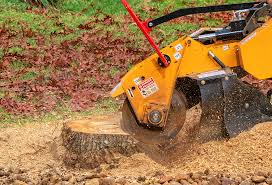 How Our Tree Care Process Works  in  West Tawakoni, TX